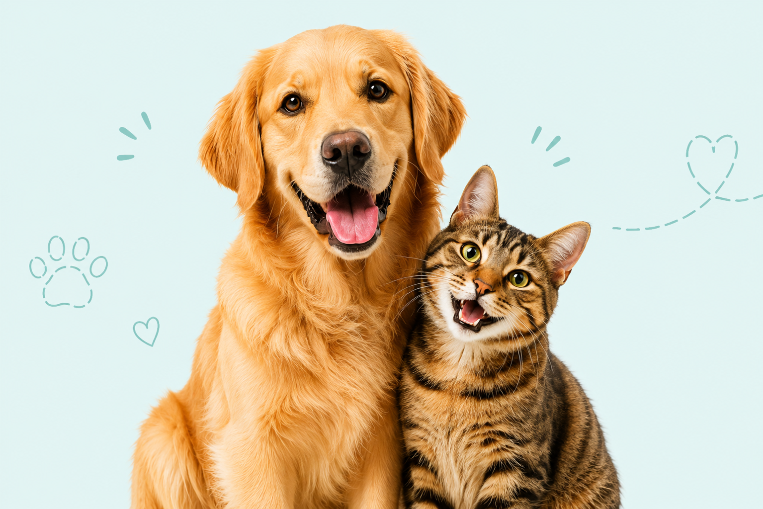 Happy dog and cat