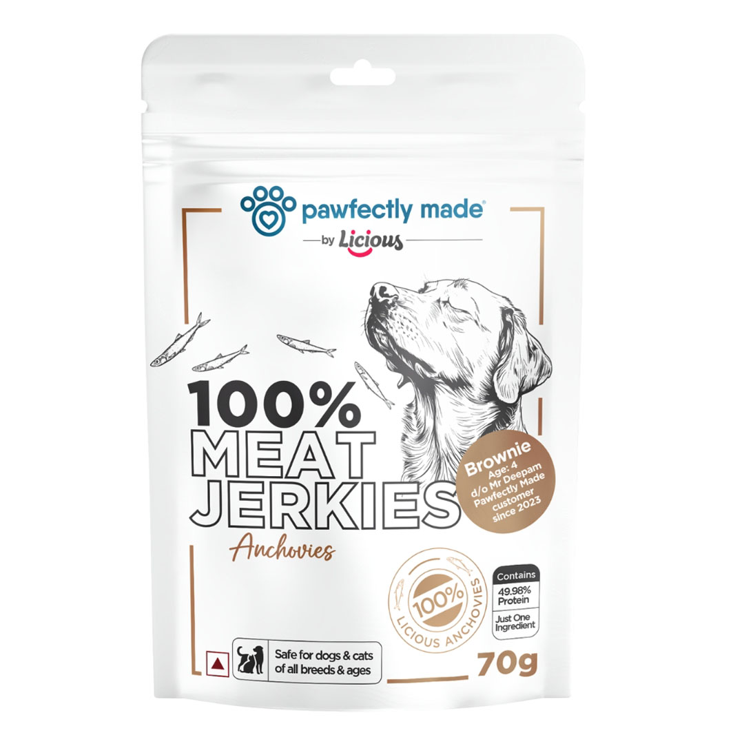 ambient-anchovies-jerky