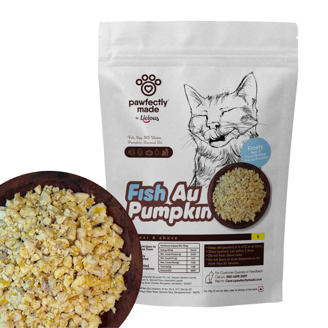 fish-au-pumpkin-cat