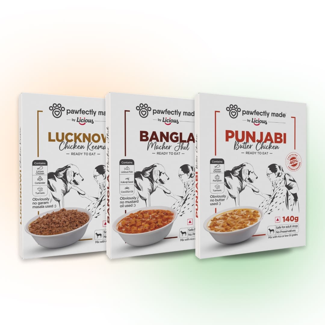 picky-eater-curry-combo-pack