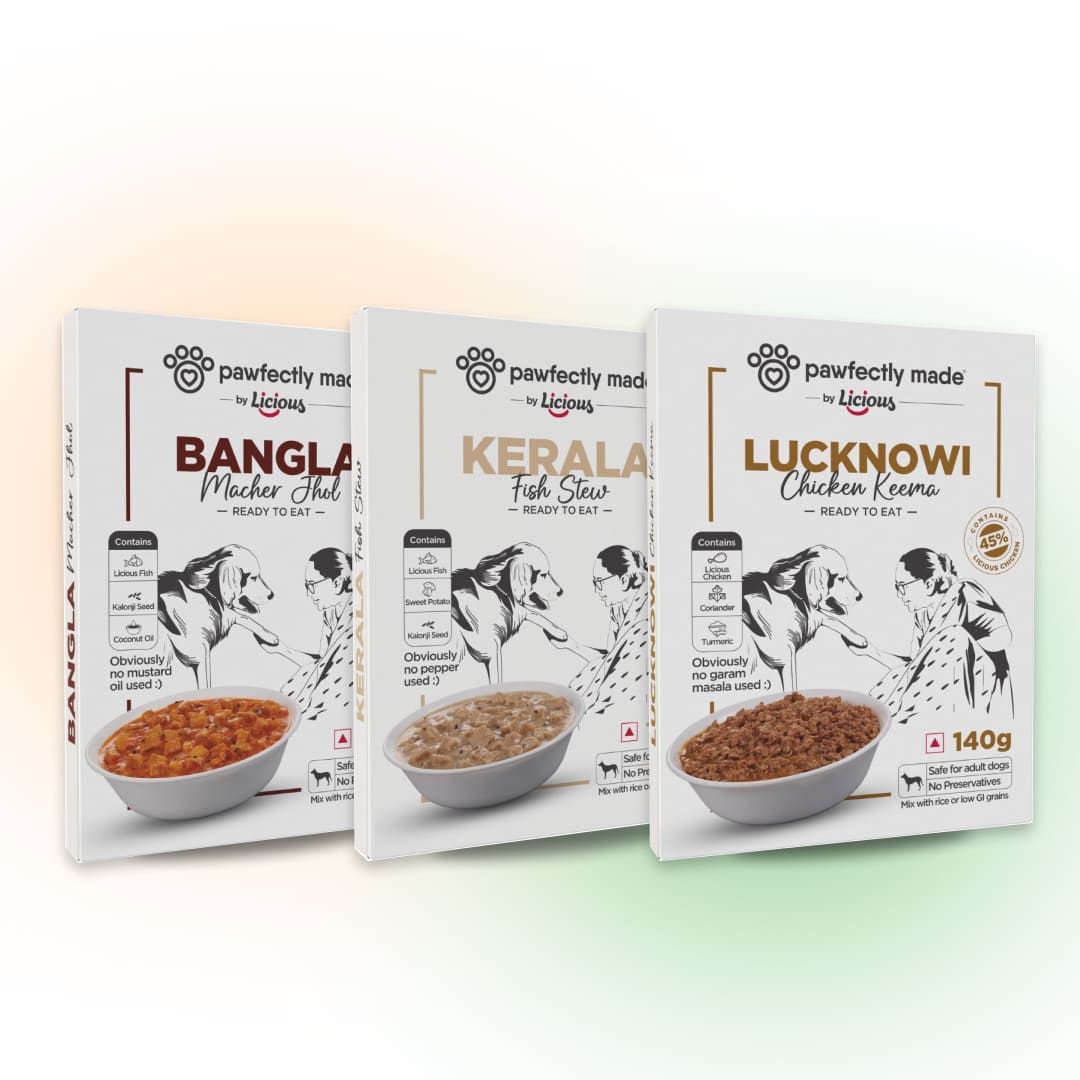 senior-friendly-curry-combo-pack