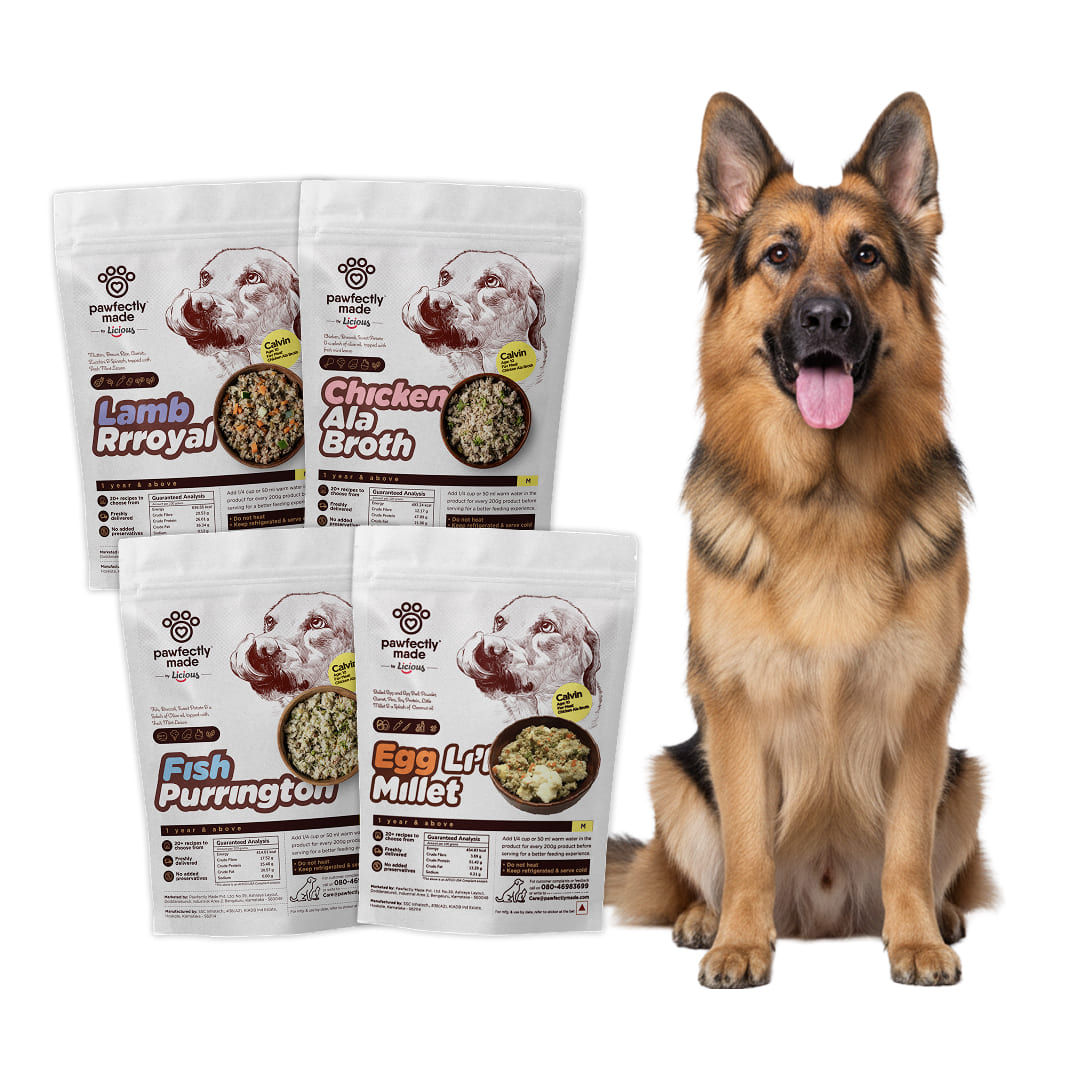 trial-pack-adult-large-breed