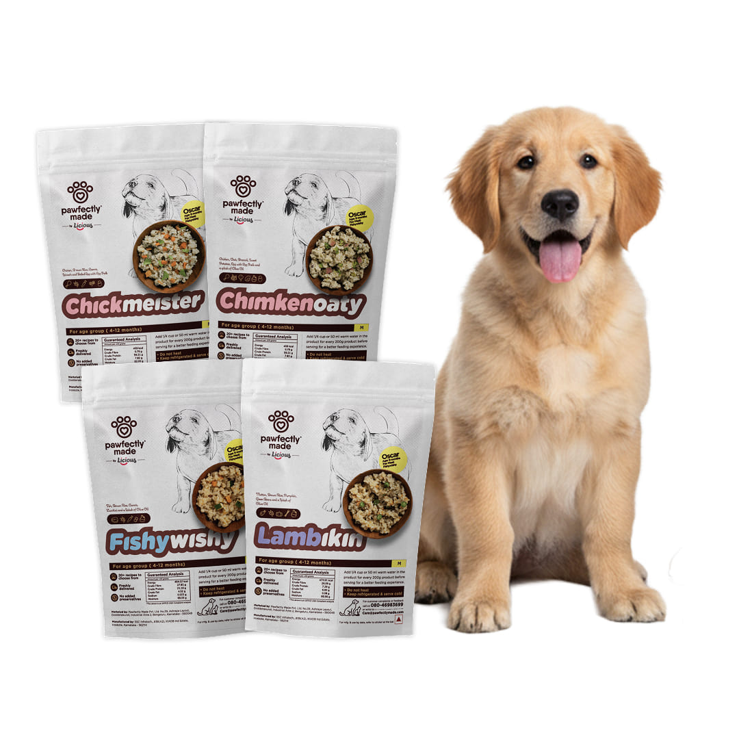 trial-pack-puppy-large-breed